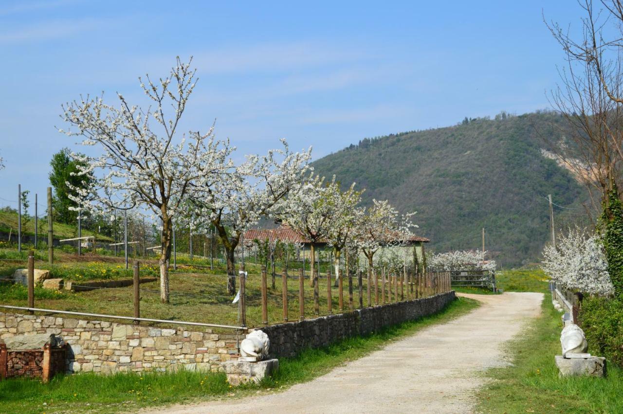 Cascina Valsorda Bed and Breakfast Concesio Eksteriør billede