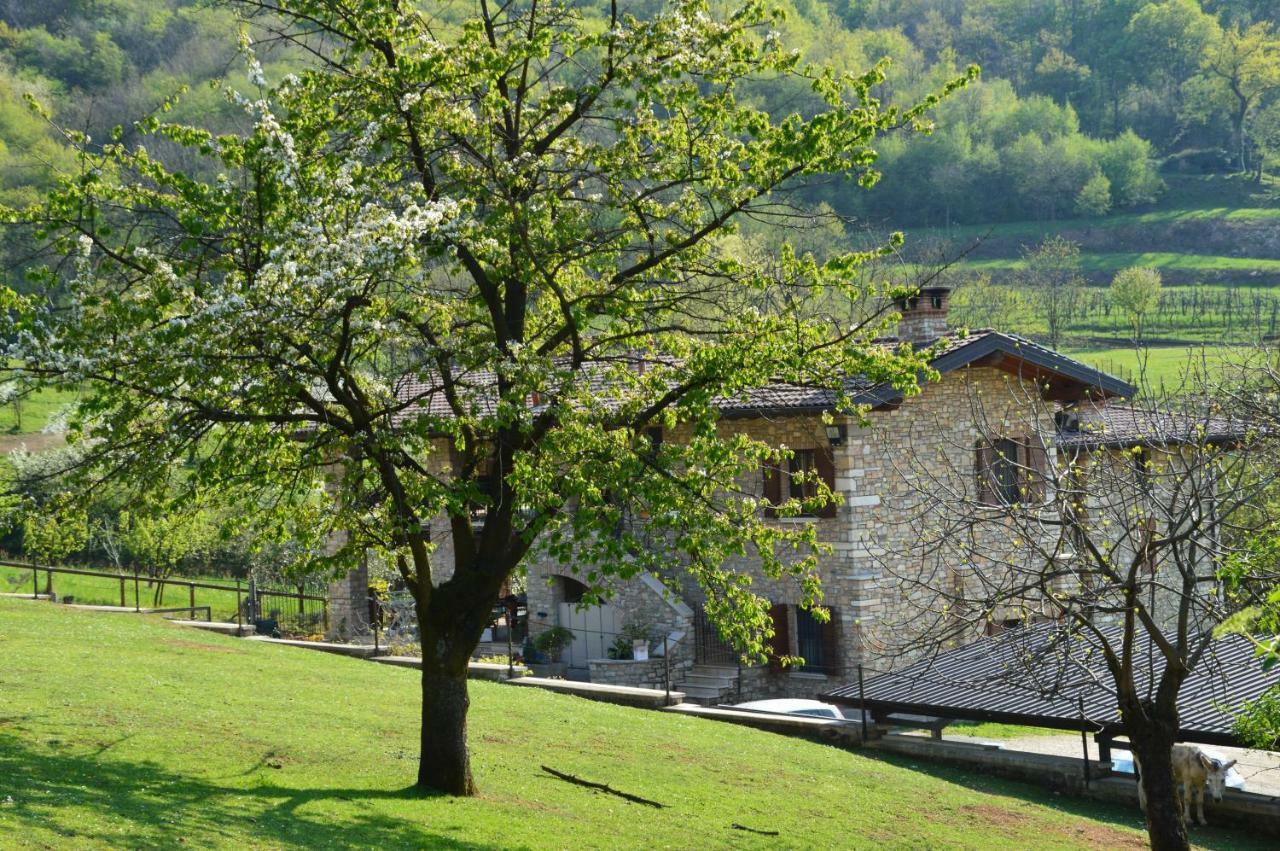Cascina Valsorda Bed and Breakfast Concesio Eksteriør billede